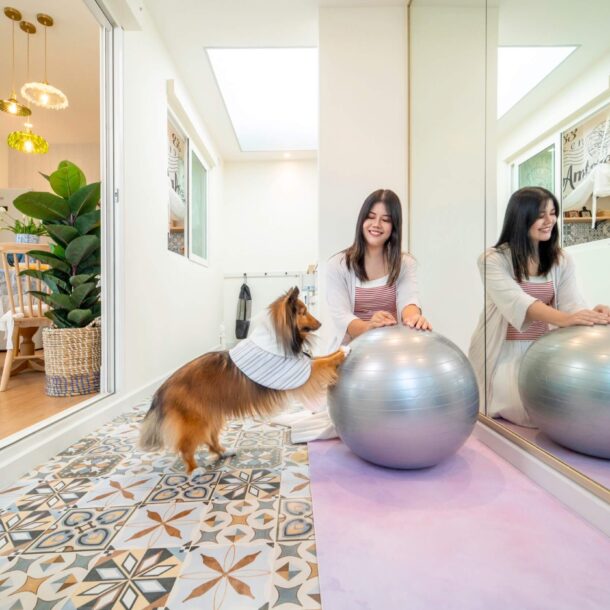 siriplace phutthabucha 8